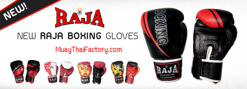 Raja Boxing Thai Boxing gear