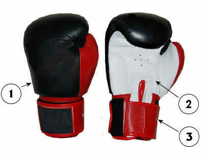 Customized Boxing gloves