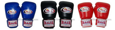 RAJA boxing gloves